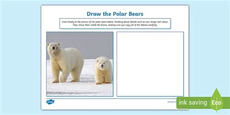 Draw The Polar Bears Art Activity Teacher Made Twinkl