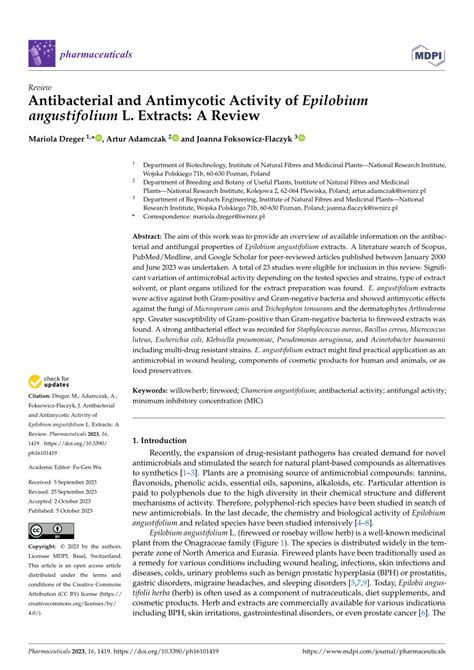 Pdf Antibacterial And Antimycotic Activity Of Epilobium Angustifolium