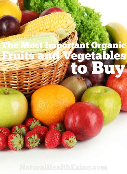 The Most Important Organic Fruits And Vegetables To Buy