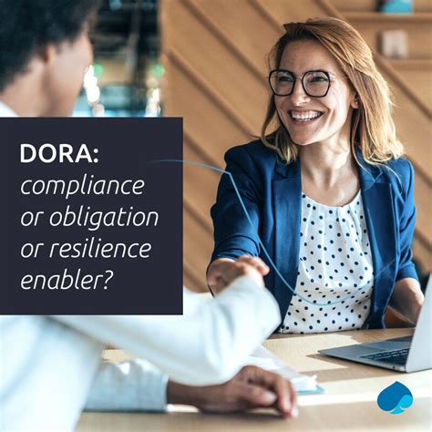 wim pronk  linkedin capgemini dora challenges opportunities