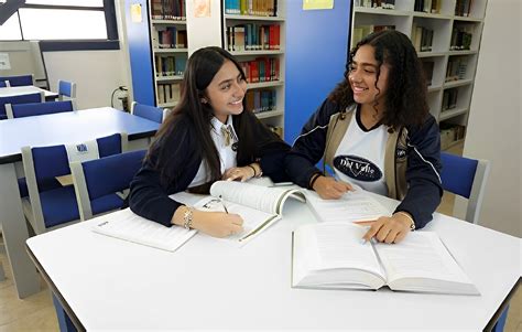 Imágenes De Trabajo En La Escuela