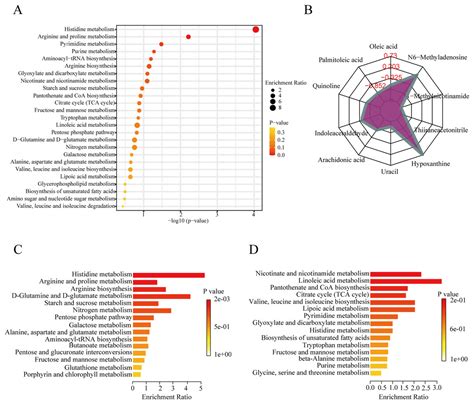 Serum Metabolomics Analysis Reveals Metabolite Profile And Key