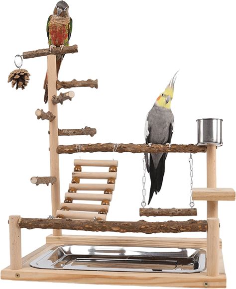 Amazon Govnpj Parrot Playground Playstands Bird Playgrounds With