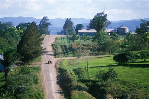 Spanish Lookout Mennonite City With An Oil Production Superbelize