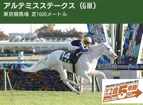 アルテミスs スワンs アカリンの競馬