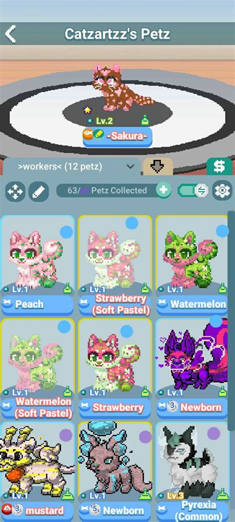 My Petz Wiki Pixel Petz Offical Amino