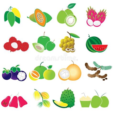 Tropical Fruits Vector Set Stock Vector Illustration Of Fresh