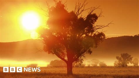 Australia Heatwave Nation Endures Hottest Day On Record BBC News