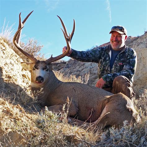 Photos Of Montana Deer Hunting And Montana Mule Deer Hunting From The