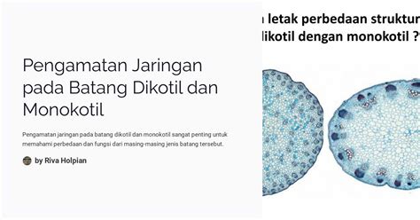 Pengamatan Jaringan Pada Batang Dikotil Dan Monokotil