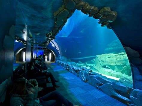 The Paris Aquarium Visit And Tickets