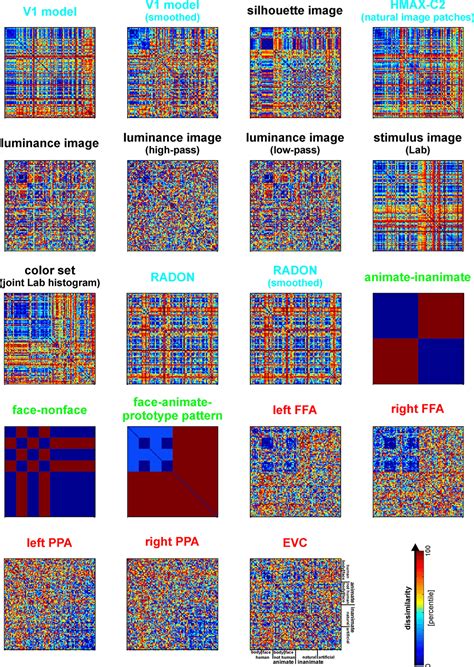 Frontiers Representational Similarity Analysis Connecting The