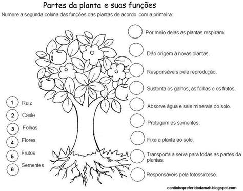 Atividade Parte Da Planta - ATIVIDADES SOBRE AS PARTES DAS PLANTAS | Partes da planta, Atividades ...