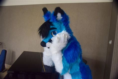 Let Me Know Have You Ever Had A Furry Themed Dream If So Describe