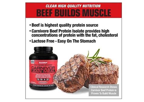 Buy Musclemeds Carnivor Lean Meal Chocolate Fudge 4 3lbs From Aed180 With Delivery Nutrition