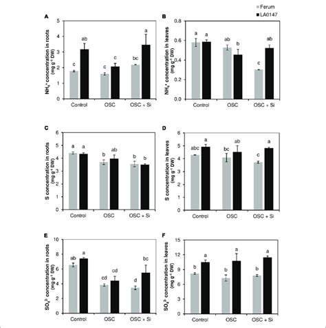 Influence Of Si Supply On Nh S And So Concentrations In