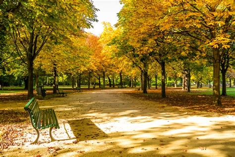 Parque De Tiergarten De Berlin Visitas Y Dirección 101viajes