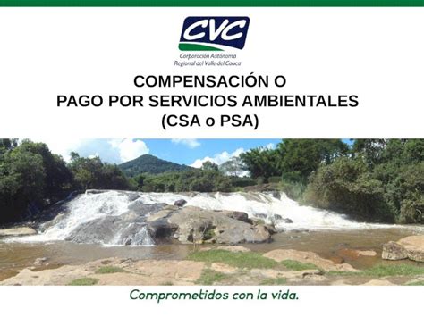 Ppt Compensaci N O Pago Por Servicios Ambientales Csa O Psa