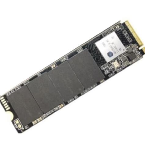 HS SSD E1000STD1024G2280