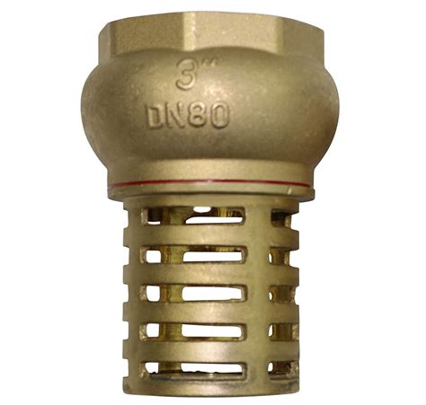 3 Brass Foot Valve And Strainer Only Water Pump Hose Suction Jono And Johno