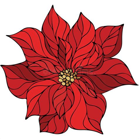 Poinsettia Flower Christmas Star Vector Element Christmas Coloring