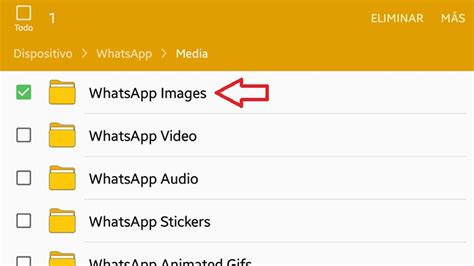 C Mo Borrar Los Archivos Basura De Whatsapp En Android