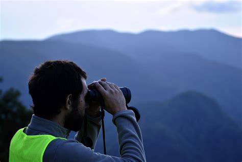 CASENTINO Uscito Il Bando Per Il Servizio Civile Nel Parco Nazionale