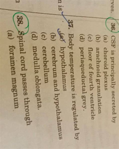 Body temperature is regulated by (o) hypothalamus | Filo