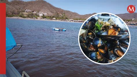 Cuáles son los daños a la salud por consumir mariscos con toxinas