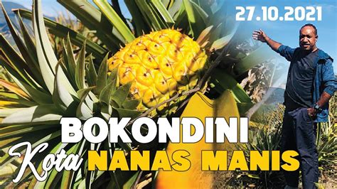 Bokondini Kota Nanas Manis Youtube