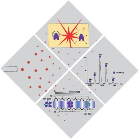 International Conference on Structural Biology and Mass Spectrometry ...