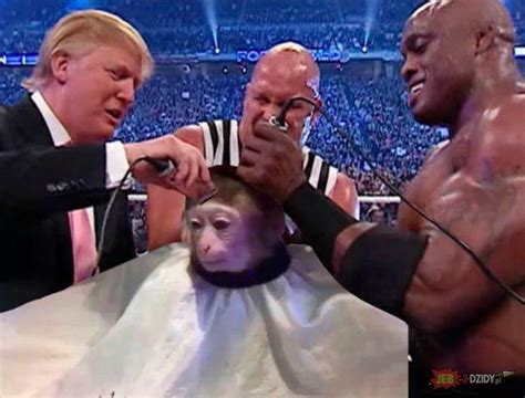 Trump Shaves Monkey | Monkey Haircut | Know Your Meme