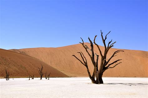 Fotos Gratis Paisaje Mar Naturaleza Arena Desierto Cielo