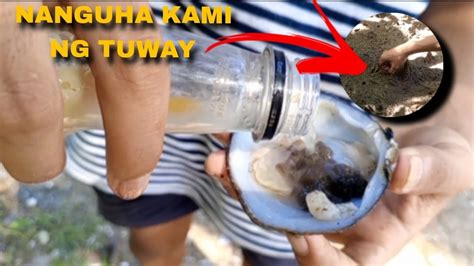 Nanguha Kami Ng Tuway Sa Dagat Youtube