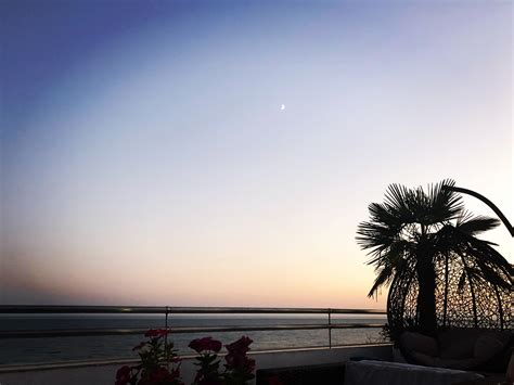 ГАЛЕРЕЯ – Hotel Constanta