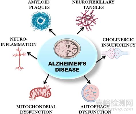 阿尔兹海默症：发病机制及全球药物研发现状盘点检测资讯嘉峪检测网