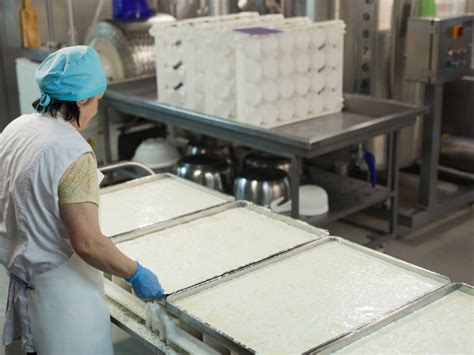 Supplying Local Milk For Specialty Cheesemakers