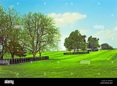 Fences And Trees High Resolution Stock Photography And Images Alamy