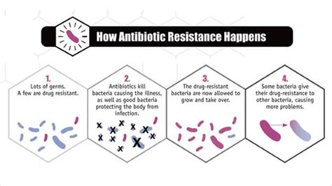 Strep Throat Treatment Do You Need An Antibiotic Everyday Health