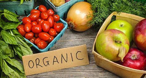 10 Pros And Cons Of Eating Organic Foods Find Home Remedy And Supplements