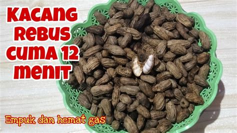 Cara Merebus Kacang Tanah Empuk Gurih Dan Hemat Gas YouTube