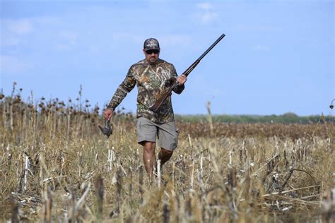 Dove Hunting Tips and Tactics | Outdoor Life