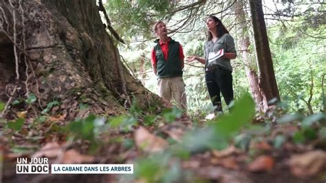 Replay Un Jour Un Doc Du Un Jour Un Doc La Cabane Dans