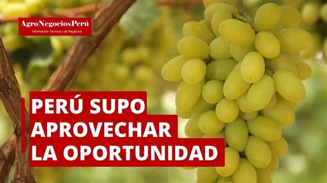 Per Primer Exportador Mundial De Uvas Supo Aprovechar La Oportunidad