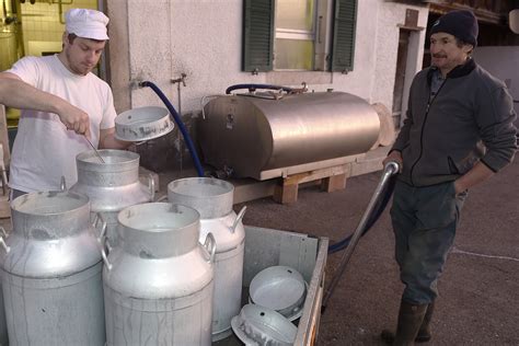 La Chaux d Abel Tête de Moine AOP Fromage de Bellelay