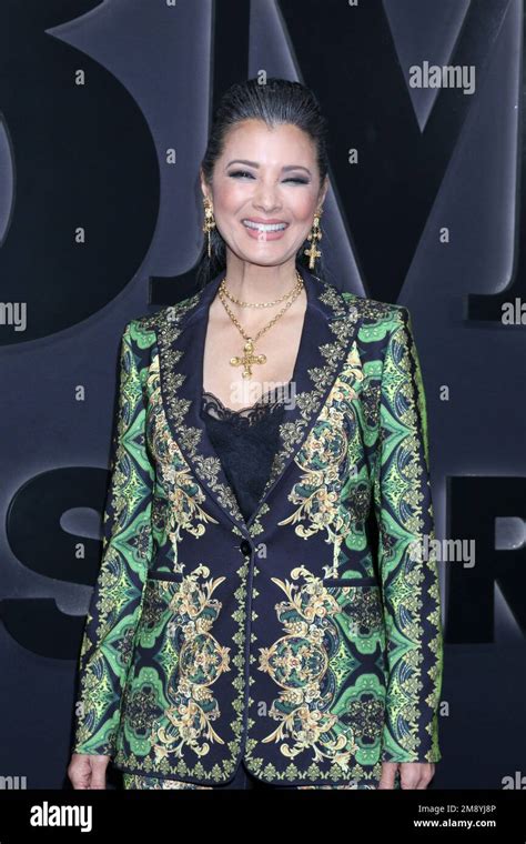 Los Angeles Jan 5 Kelly Hu At The Bmf Season 2 Premiere At The Tcl