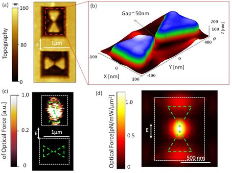 Figure 1 From Optical Force Mapping Of Plasmonic Modes Generated By A