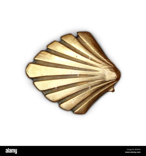 Way of Saint James symbol shell golden metal isolated Stock Photo - Alamy