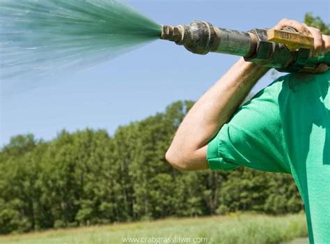 Best Spray On Grass Seed For Your Lawn Hydroseeding And Buyers Guide