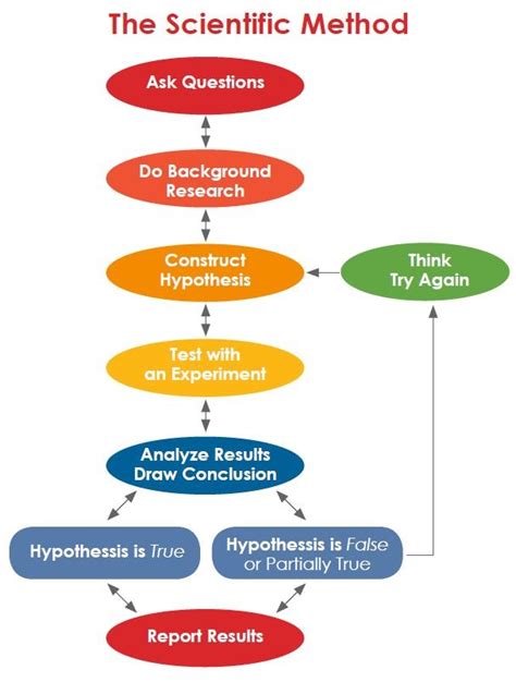 Diagram Of The Scientific Method Quizlet